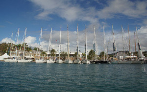 Oyster Regatta Antigua