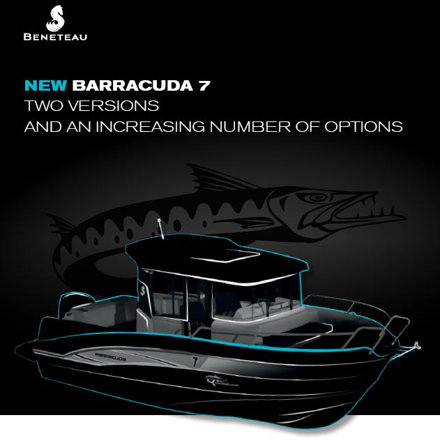 Barracuda 7