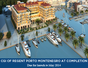 Hotel Launch and Marina Expansion