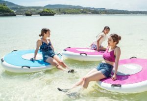 Yanmar to Launch “Wheeebo”..