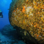 Magical diving destinations